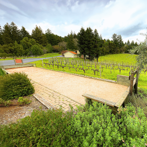 a picture of the estate bocce court with the vineyard in the background